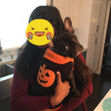 Dog Sweaters, Halloween Pet Clothes for Dog Cat