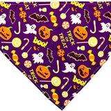 Dog Bandanas for Halloween,6Pcs Pet Triangle Bibs Scarf Autumn Cute Dog Bandanas Pumpkin Bat Spider Pet Scarf Accessories for Small Dogs Cats Pets(Random Color)