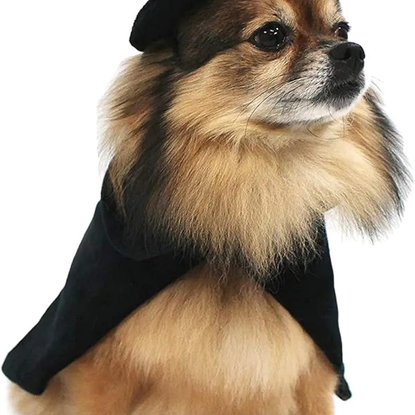 Halloween Witch Cape and Hat Dog Costume (Medium)