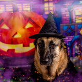 Halloween Witch Cape and Hat Dog Costume (Medium)