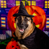 Halloween Witch Cape and Hat Dog Costume (Medium)