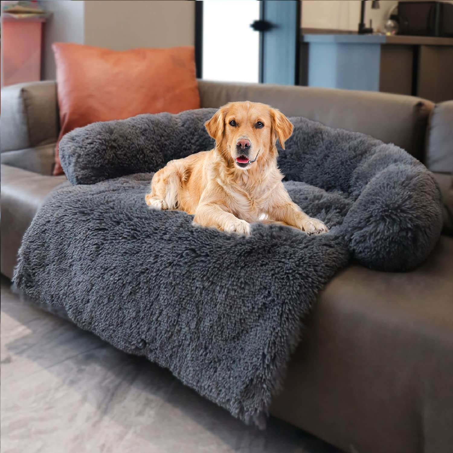 Dog Bed & Sofa