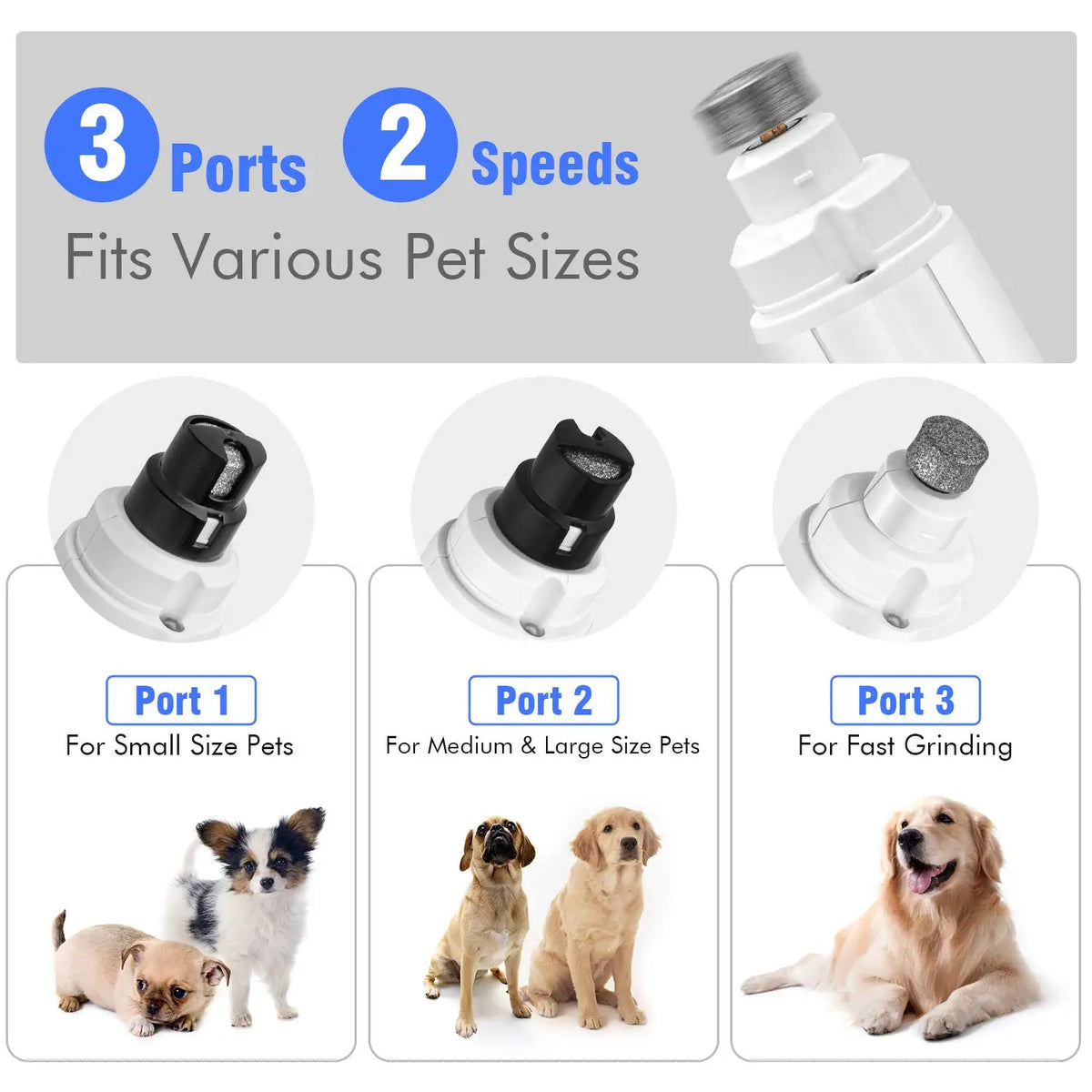 PAWSUNDAY Dog Nail Grinder with 2 LED Light 8000-10000 RPM Powerful Electric Pet Nail Trimmer for dog Cat and small animal