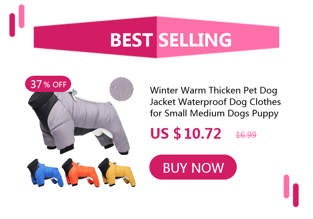 Puppy Cat Harness and Leash Set Breathable Pet Harness Vest For Small Dogs Rabbits Mesh Dress Bow Chest Belt Collar Chihuahua