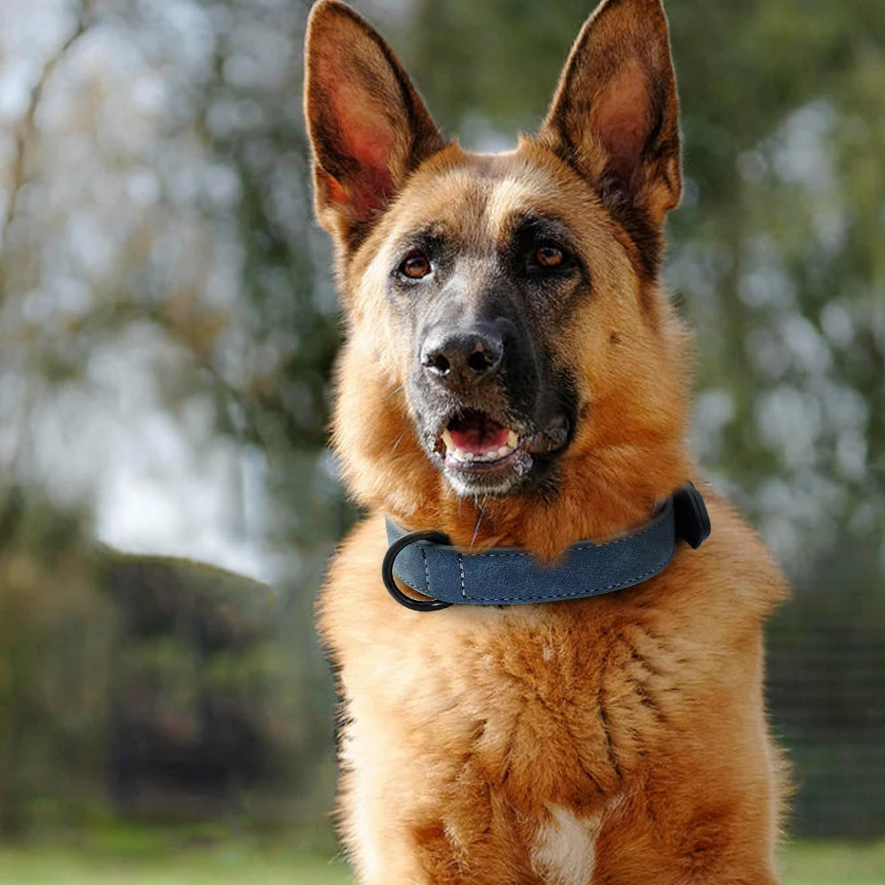 Leather Dog Collar For Small Medium Large Dogs Soft Padded Big Dog Collars for Pitbull Labrador German Shepherd S-XXL