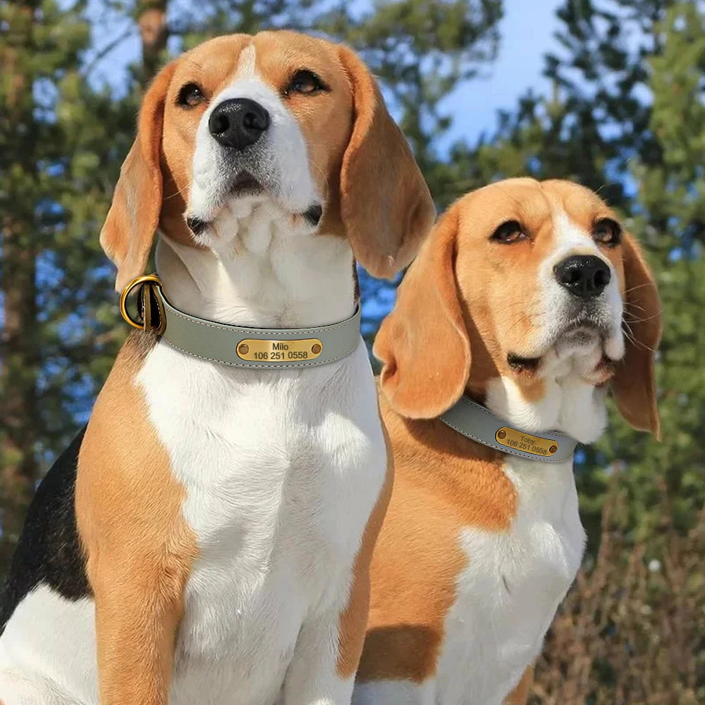 Engraved Dog Cat Collar Reflective Leather Puppy Collar Custom Dog Cats Collars Personalized for Small Medium Large Dog Bulldog