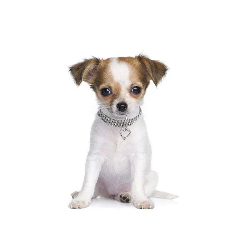 Dog Collars Bling Rhinestone Pet Crystal Diamond Collar For Dogs Cats Leashes Necklace Dog Accessories Pet Supplies