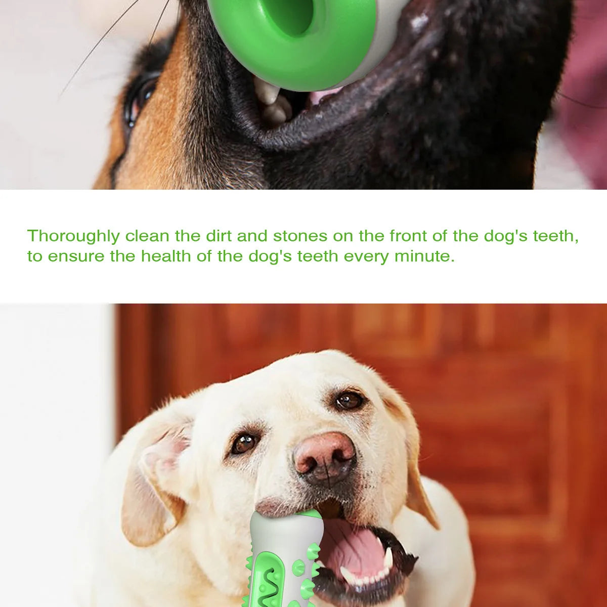 Dog Teething Rod Toothbrush Stick Molar Toys Dog Chew Supplies Pet  Teeth Cleaning Training Interactive Toy