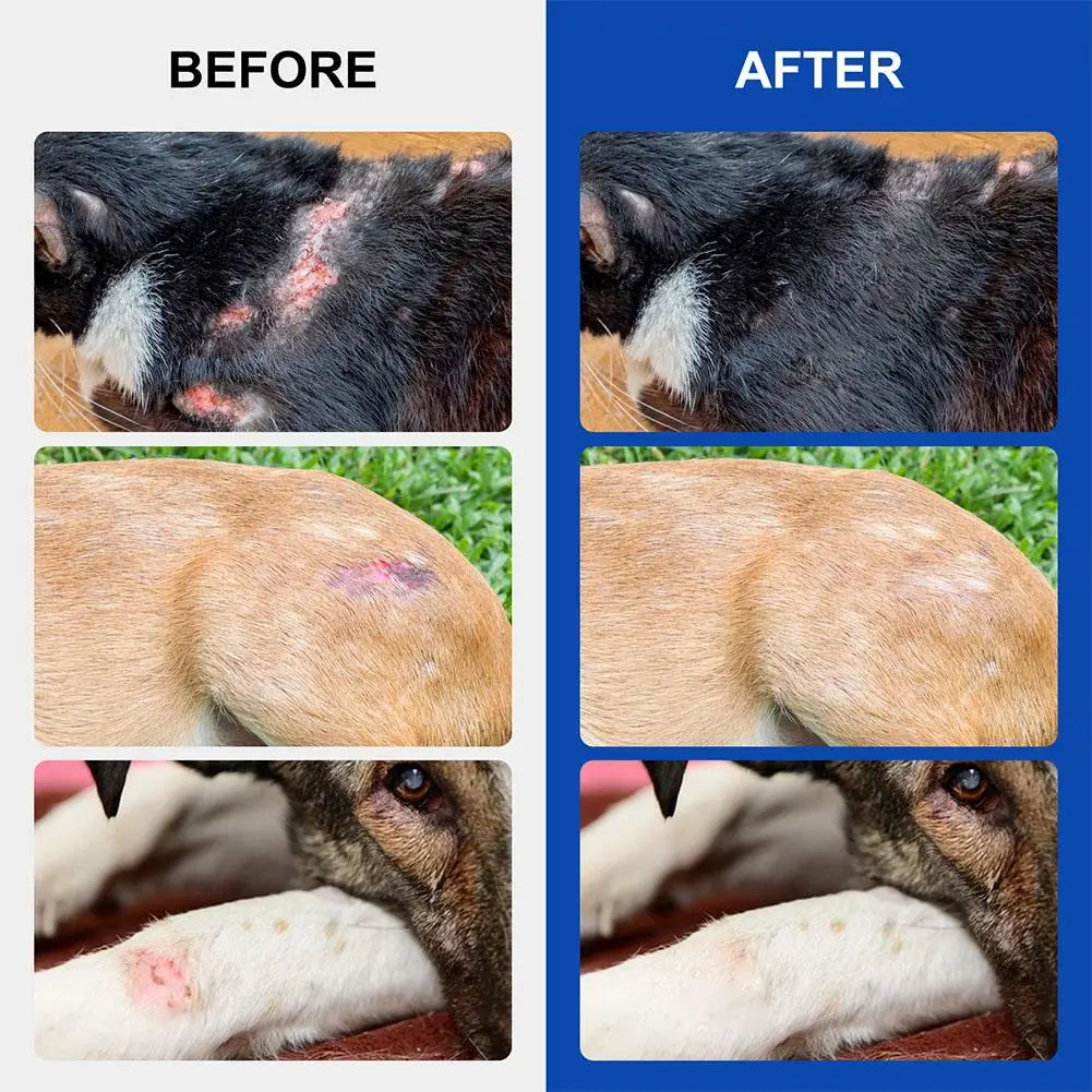 Pets Cats Dogs Prevent Infection Stop Bleeding Minor Skin Wounds Scalds Burns Scratches Topical Use Wound Care Spray