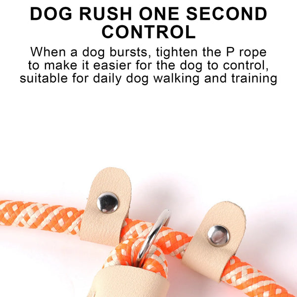 Colorful P Chain Dog Leash Adjustable Nylon Dogs Leashs for Small Medium Big Dogs Pinch Collars Leash Two-in-one Dog Accessories