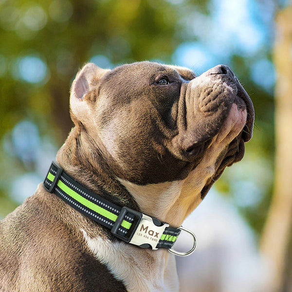 Personalized Dog Collar Nylon Reflective Pet ID Tag Collars Adjustable Pets Necklace For Small Medium Large Dogs Free Engraved