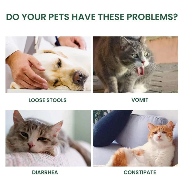Pet probiotic drops relieve discomfort in cats, dogs, and bad breath. Pet care solution