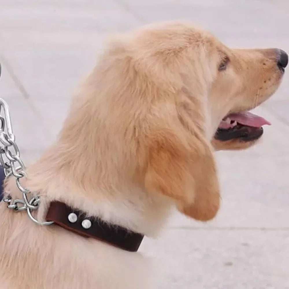 Heavy Duty Genuine Leather Dog Collar with Martingale Metal Chain No Pull Dog Training Collar Leather Martingale Collar for Dogs