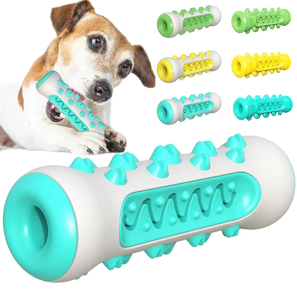 Dog Teething Rod Toothbrush Stick Molar Toys Dog Chew Supplies Pet  Teeth Cleaning Training Interactive Toy