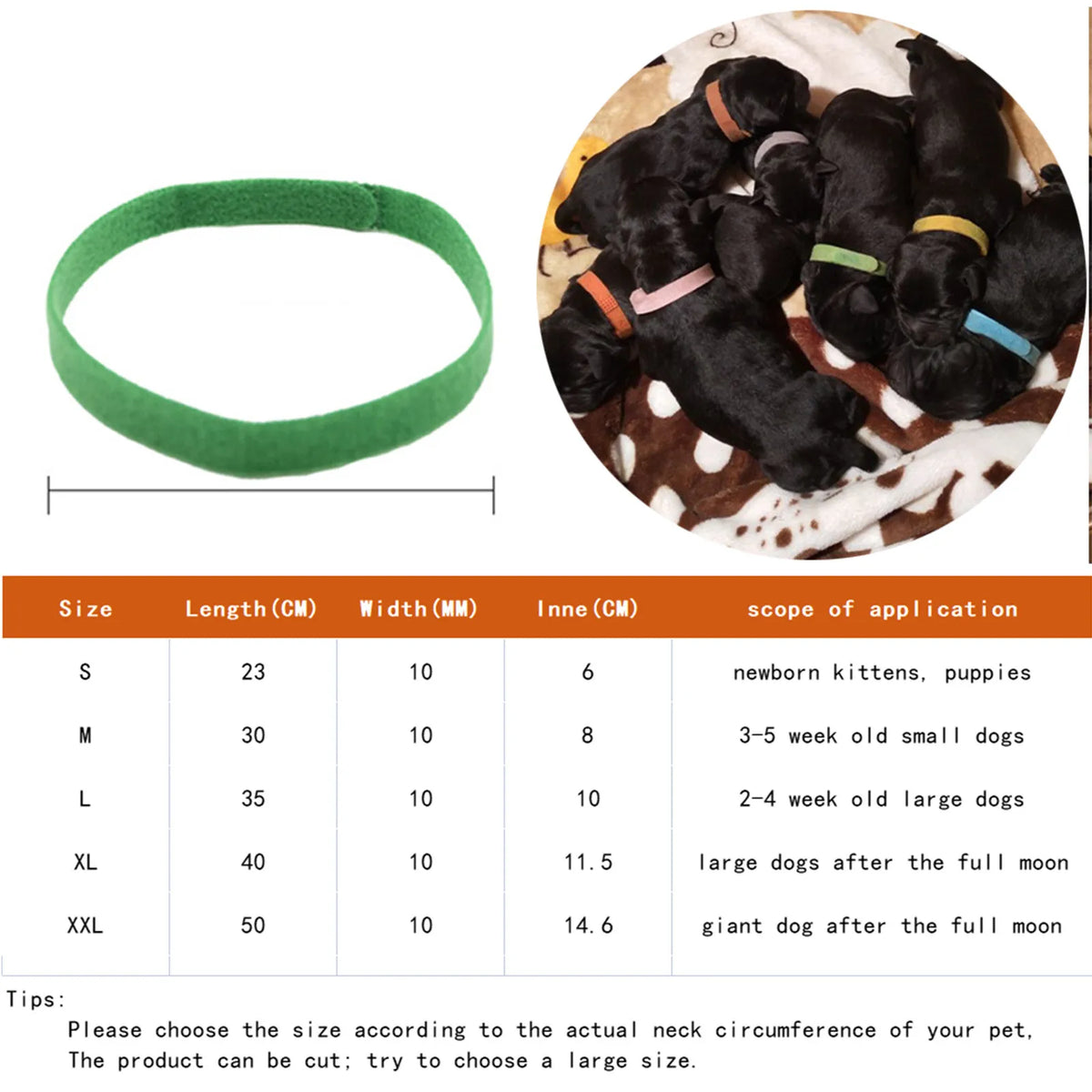 12 Pcs Puppy Whelping Collars Newborn Pet Collars Double-Sided Soft Adjustable ID Bands Puppy Id Collars For Newborn Pet Dog Cat