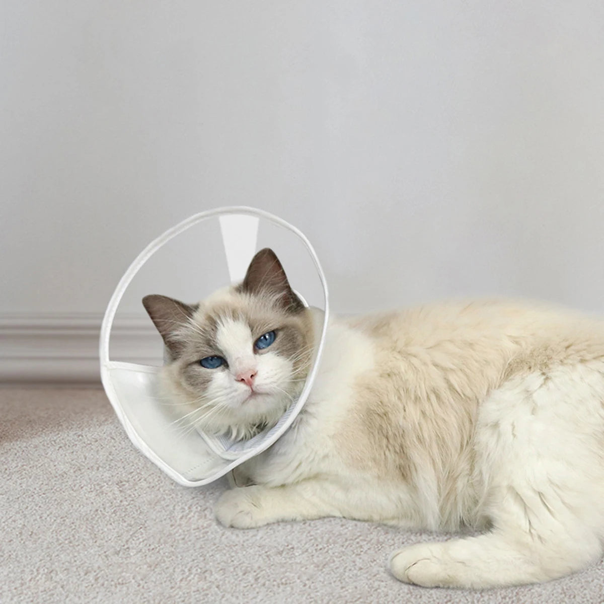 Elizabethan Circle Cat Dog Soft Lightweight Neck Care Waterproof Anti-licking Anti-scratch Wound Protection Post-operative Care