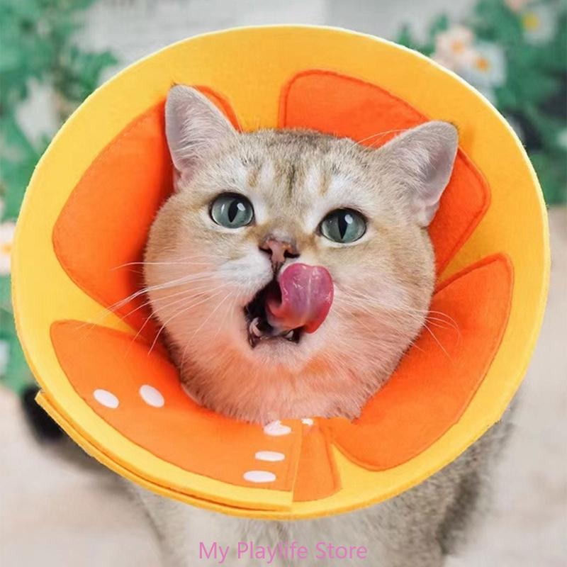 Gentle and Versatile Recovery Cone Collar for Small Dogs Puppies and Cats in Need of Comfortable Rest and Fast Healing
