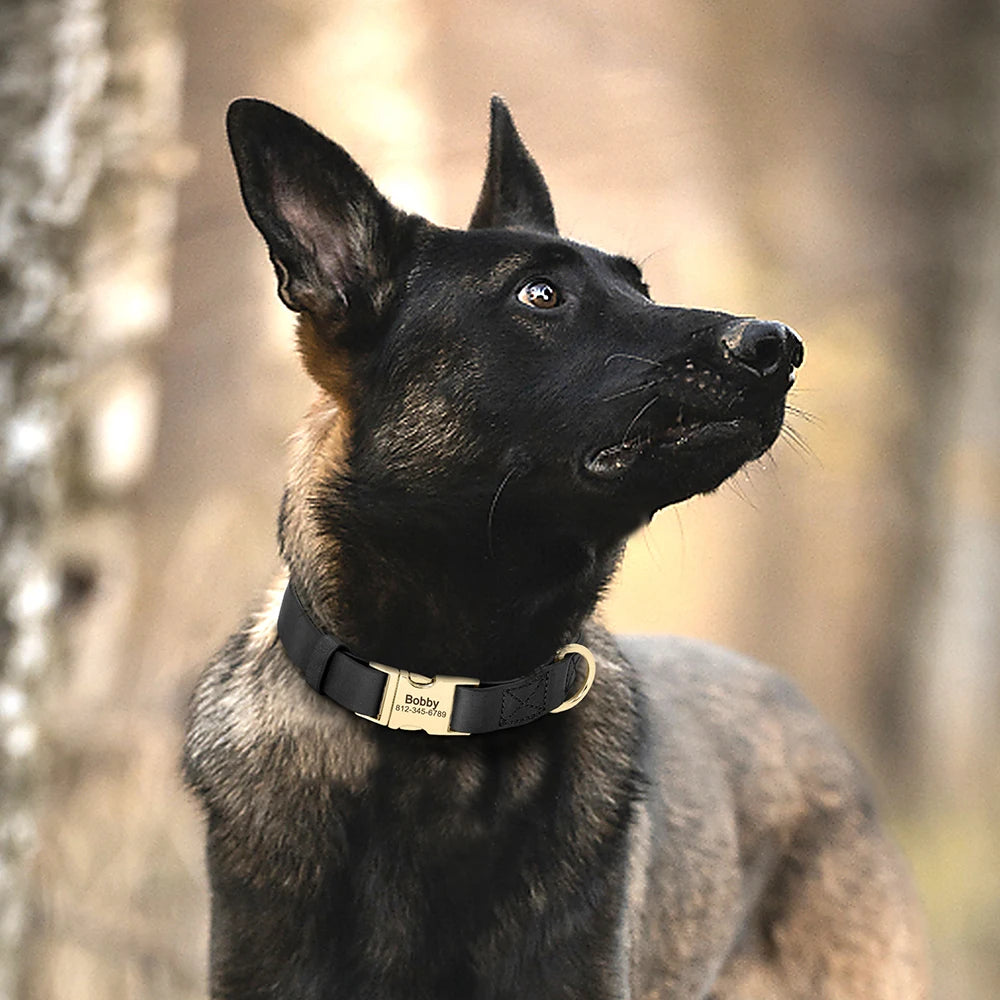 Personalized Leather Dog ID Collar Customized Genuine Leather Dogs Collars Pet Buckle Collar for Small Medium Large Dogs Pitbull