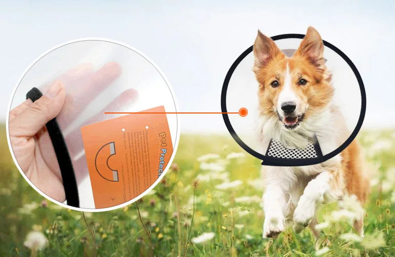 Pet Protective Collar For Small Large Dogs Anti Bite Grasping Licking Collar Puppy Cat Recovery Cone Ring Pets Care Accessories