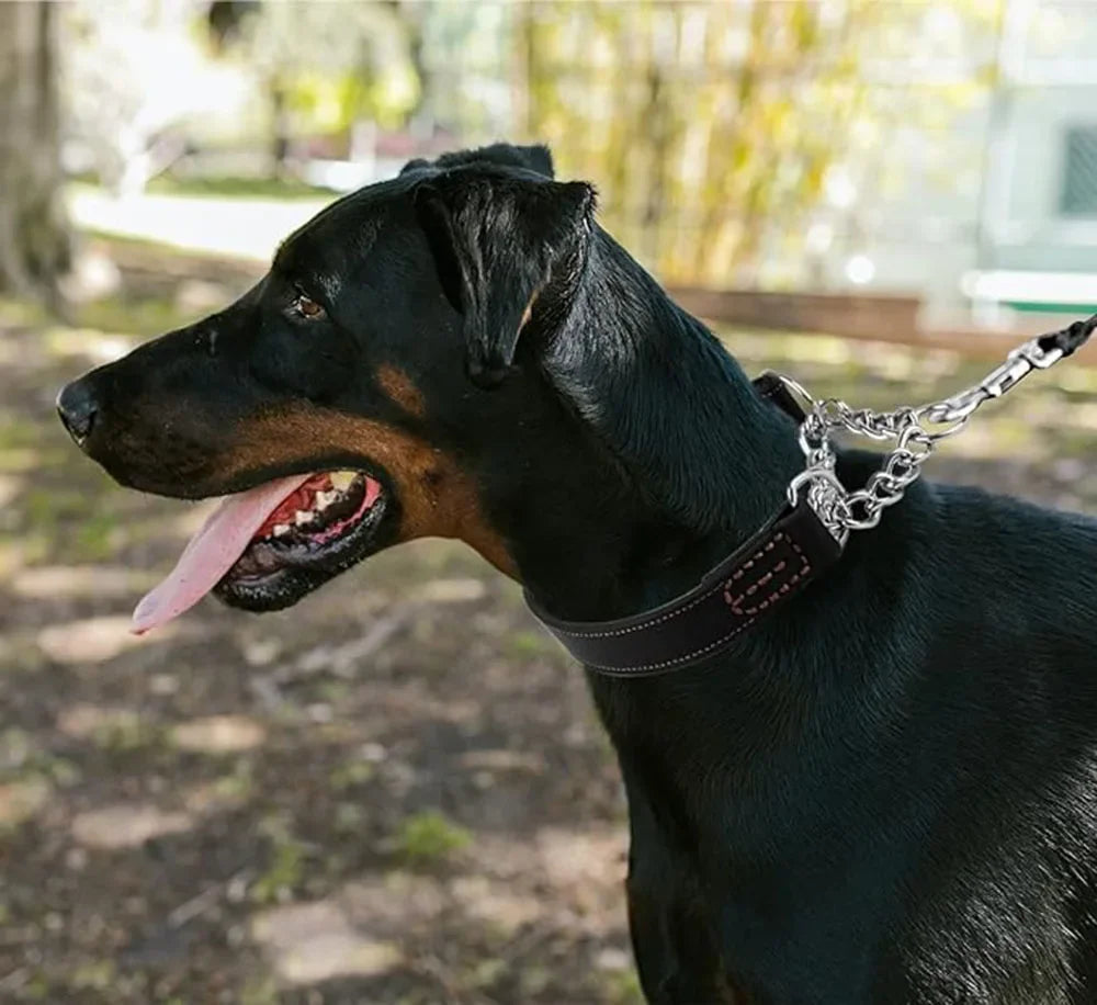 Heavy Duty Genuine Leather Dog Collar with Martingale Metal Chain No Pull Dog Training Collar Leather Martingale Collar for Dogs