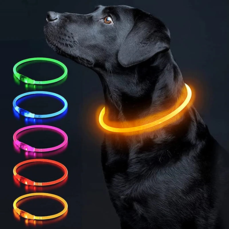 50496837648657|50496837681425