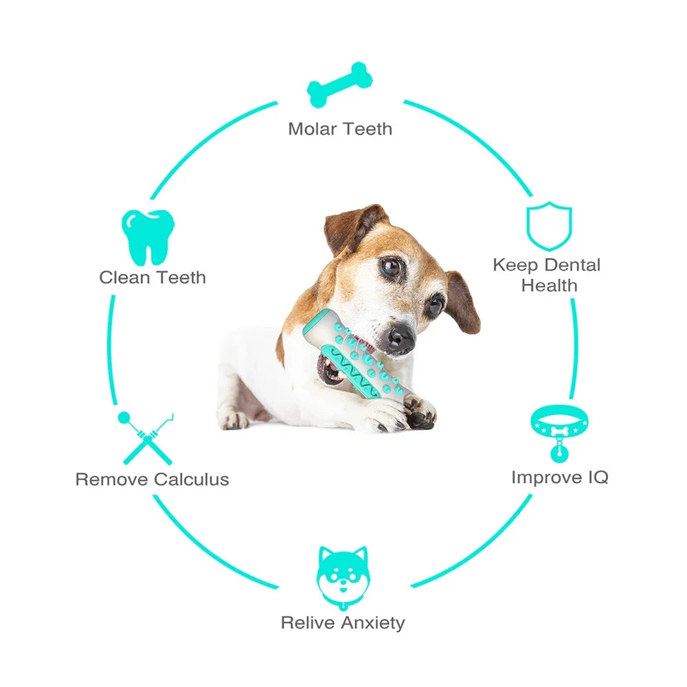 Dog Teething Rod Toothbrush Stick Molar Toys Dog Chew Supplies Pet  Teeth Cleaning Training Interactive Toy
