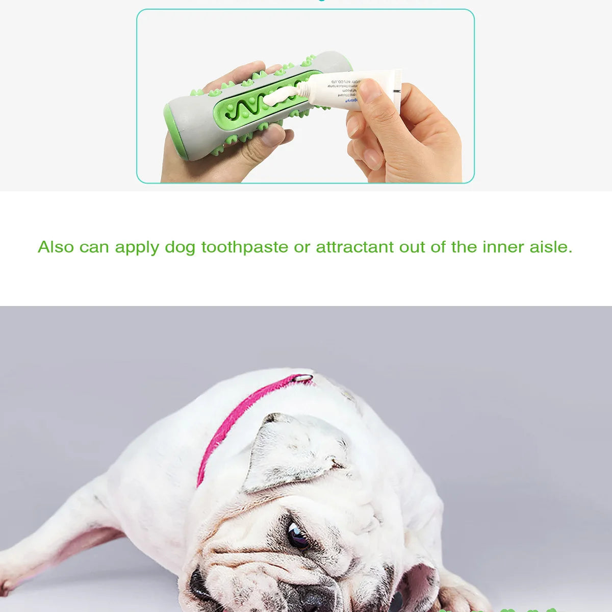 Dog Teething Rod Toothbrush Stick Molar Toys Dog Chew Supplies Pet  Teeth Cleaning Training Interactive Toy