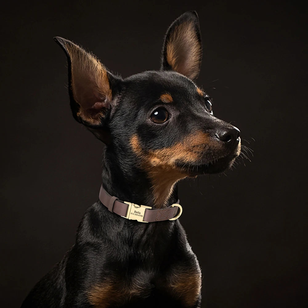 Personalized Leather Dog ID Collar Customized Genuine Leather Dogs Collars Pet Buckle Collar for Small Medium Large Dogs Pitbull