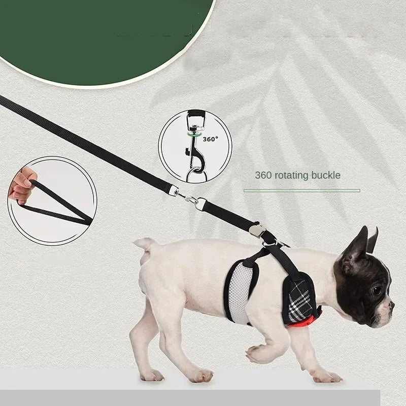 Elegant Bow Dog Collars Necktie Traction Rope Christmas Pet Harness for Small Medium Dogs Cat Chest Strap Dog Accessories Gifts