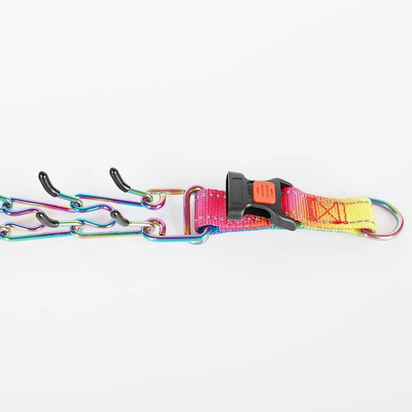 Stainless Steel Colorful Comfort Rubber Tips Adjustable Stainless Steel Dog Training Prong Pinch Collars
