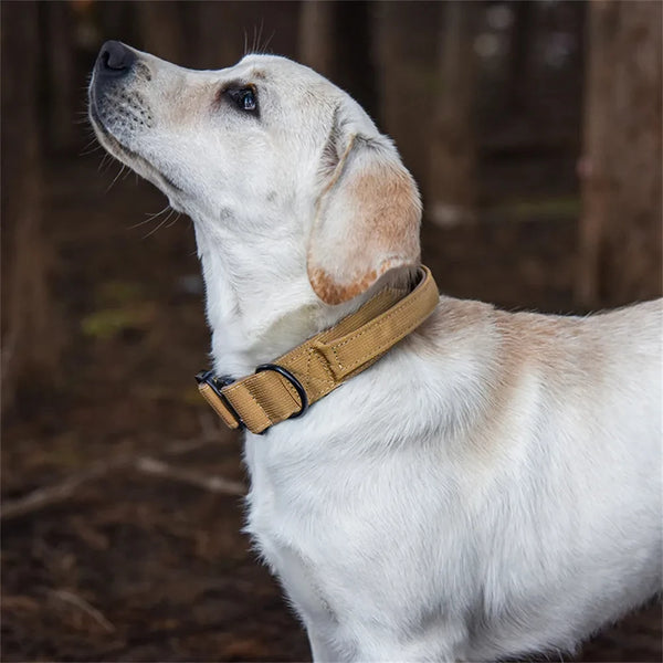 Durable Tactical Dog Collar Leash Military Heavy Duty For Medium Large Dogs Collars German Shepherd Walking Training Accessories