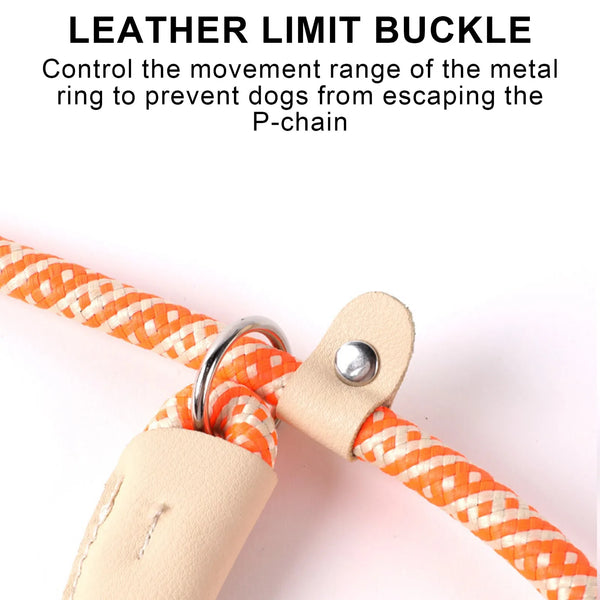 Colorful P Chain Dog Leash Adjustable Nylon Dogs Leashs for Small Medium Big Dogs Pinch Collars Leash Two-in-one Dog Accessories