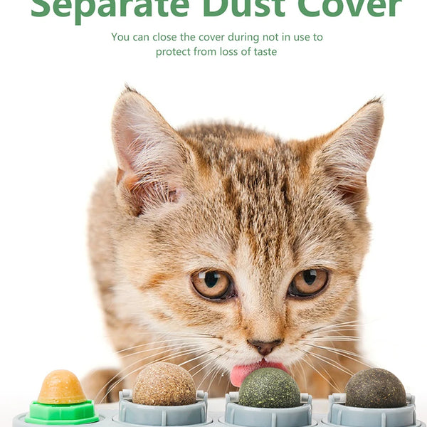 Catnip Toys Silvervine Balls Teeth Cleaning Dental Wall Treats Extra Cat Energy Ball Edible Cats Lick Healthy Kitten Chew