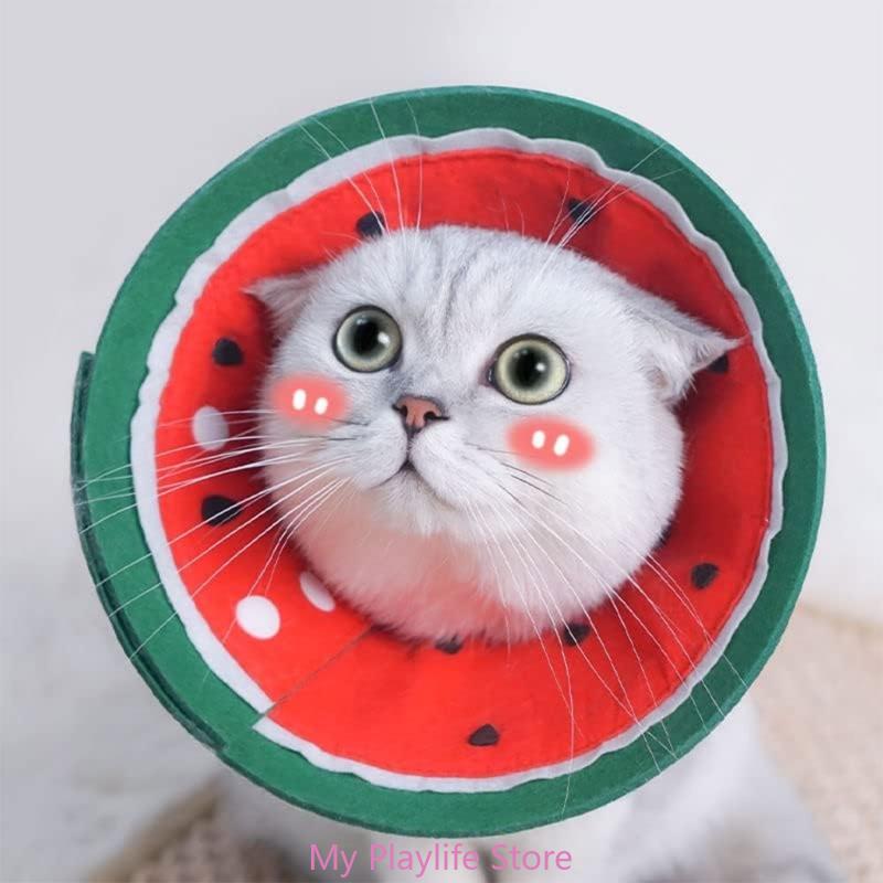 Gentle and Versatile Recovery Cone Collar for Small Dogs Puppies and Cats in Need of Comfortable Rest and Fast Healing
