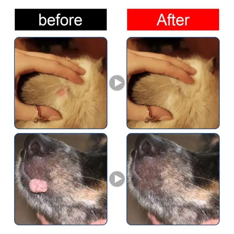 Pet Flea Killer Drops Anti Fleas Cats Ticks Lice Mite Removal Relieve Itching Dogs Ringworm Treatment Pet Insect Removal Drops