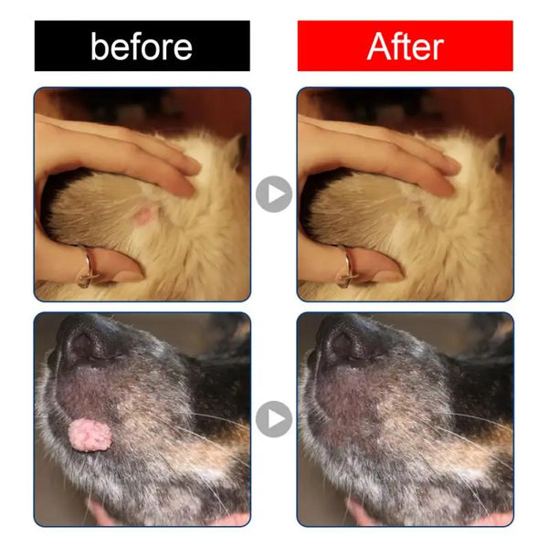 Pet Flea Killer Drops Anti Fleas Cats Ticks Lice Mite Removal Relieve Itching Dogs Ringworm Treatment Pet Insect Removal Drops