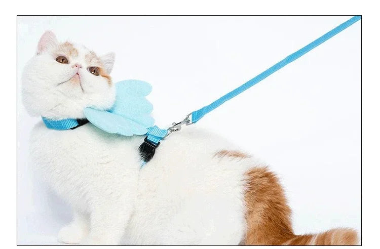 Dog Traction Rope Angel Pet Wing Small Pet Dog cat Rabbit Chest Set Cute Collar Safety Belt Adjustable Outdoor Walk Leash Rope