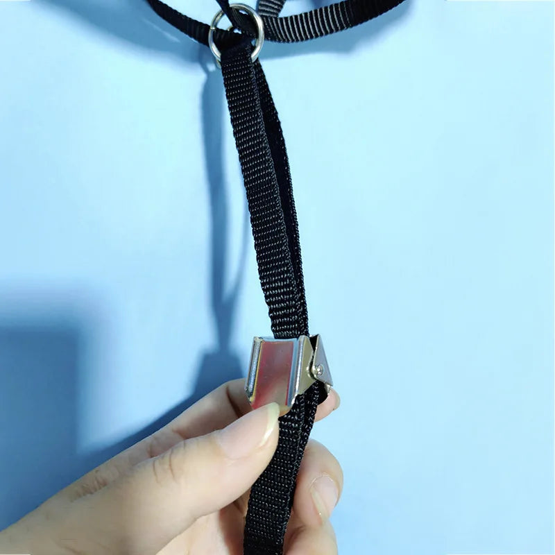 Elegant Bow Dog Collars Necktie Traction Rope Christmas Pet Harness for Small Medium Dogs Cat Chest Strap Dog Accessories Gifts