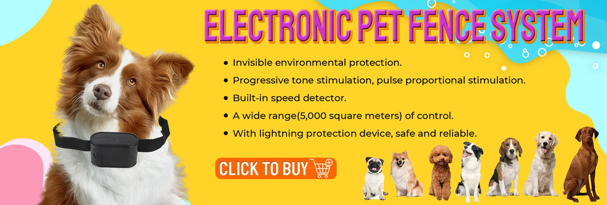 Vacuum Cleaner Grooming Tools Pet Products Pet Fur Hair Vacuum Groomer for Dyson Dog Supplies Dog Cat Combs