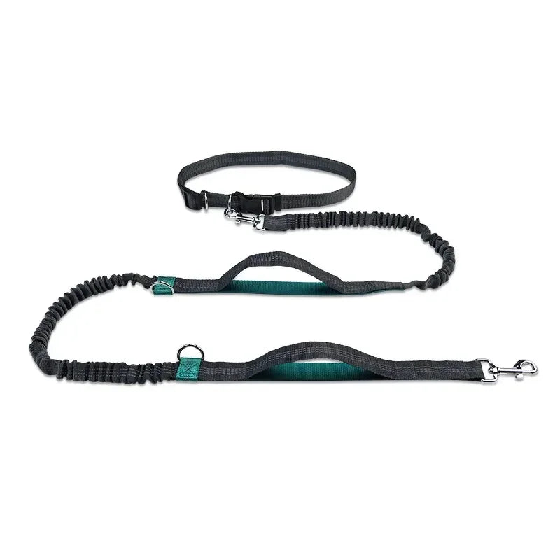 Retractable Hands Free Dog Leash for Running Judge Leash Large Dog Pet Supplies