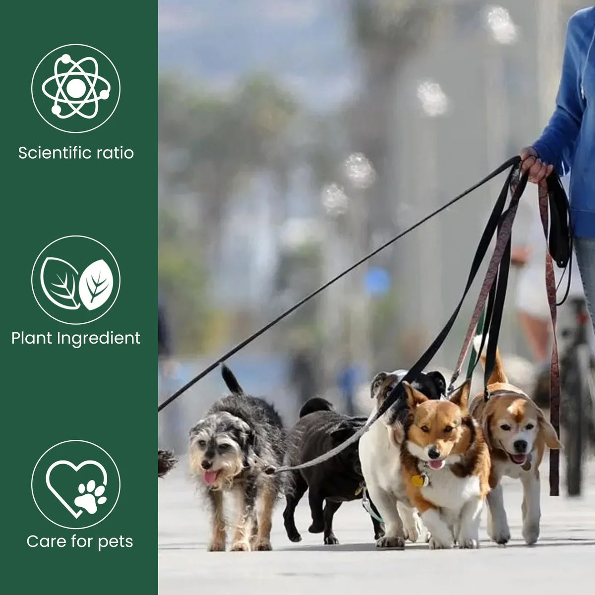 Pet probiotic drops relieve discomfort in cats, dogs, and bad breath. Pet care solution