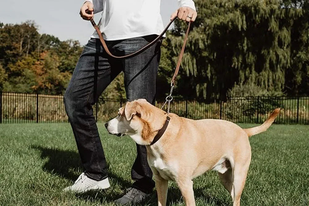 Heavy Duty Genuine Leather Dog Collar with Martingale Metal Chain No Pull Dog Training Collar Leather Martingale Collar for Dogs