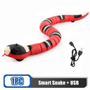  Induction snake