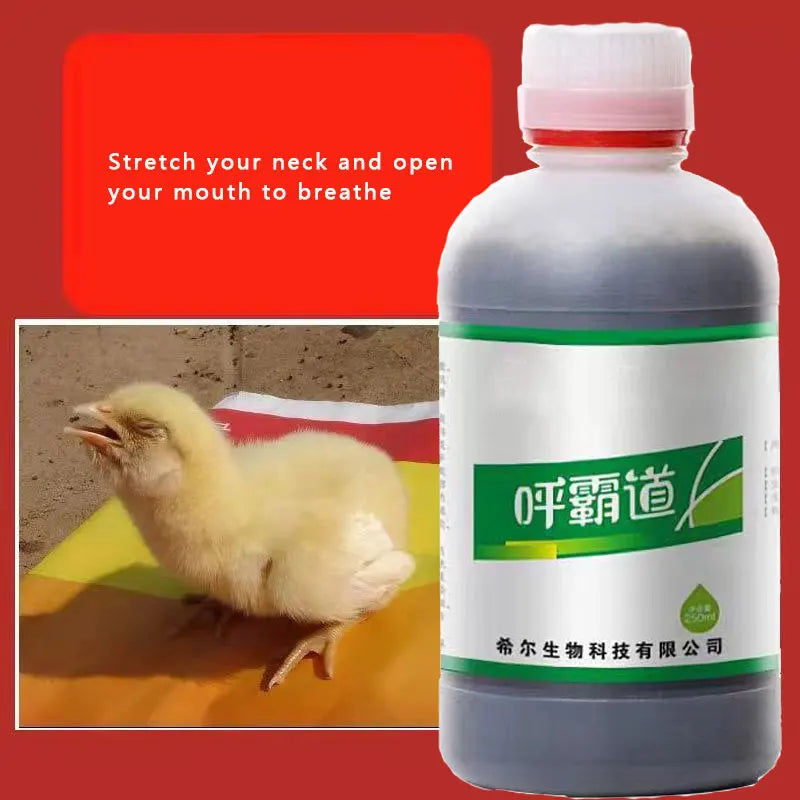 Duck, Goose, Chicken, Pig, Cow, Respiration, Cough, Phlegm, Bronchitis, Nutrient Solution 250ml
