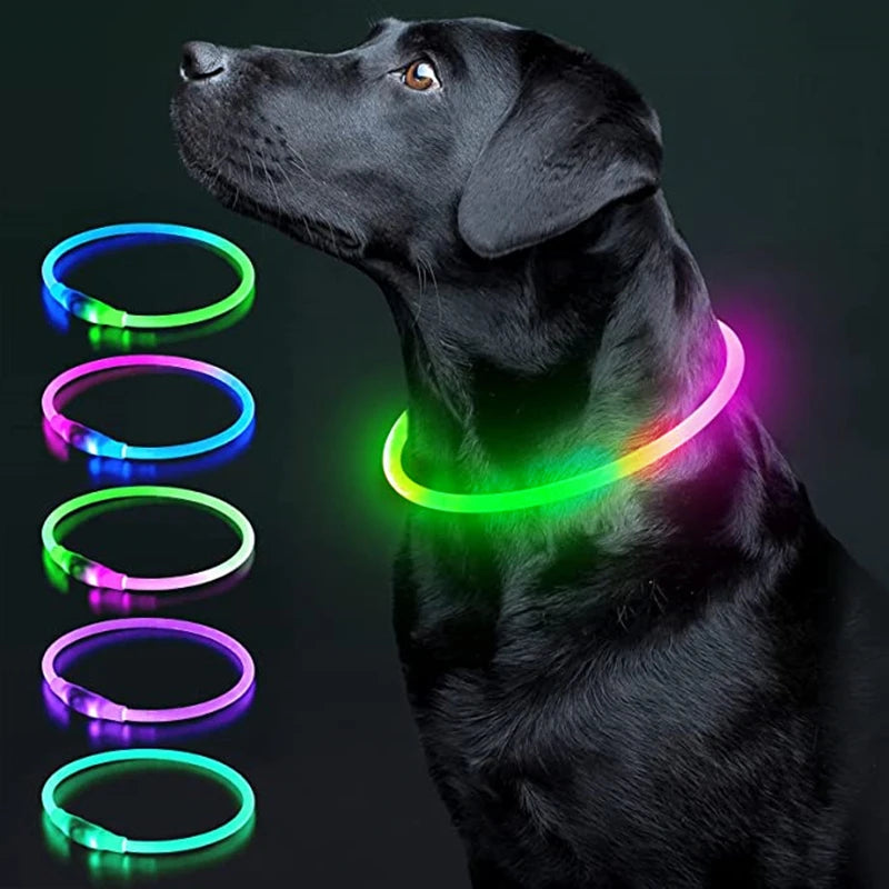 50496837943569|50496838009105