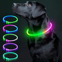 Colorful