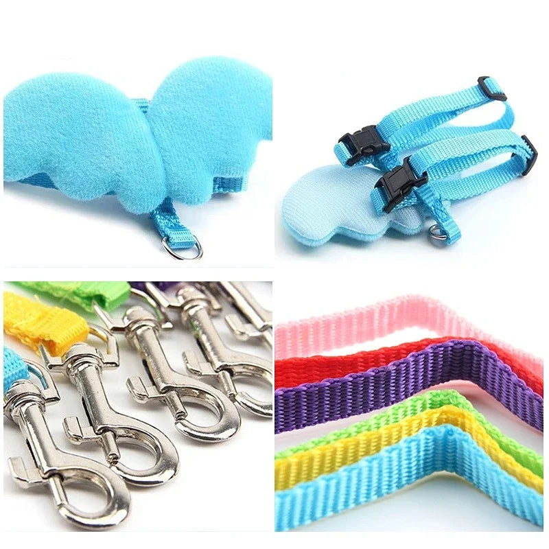 Dog Traction Rope Angel Pet Wing Small Pet Dog cat Rabbit Chest Set Cute Collar Safety Belt Adjustable Outdoor Walk Leash Rope