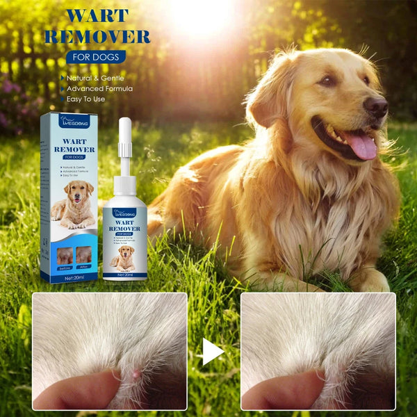 Pet Flea Killer Drops Anti Fleas Cats Ticks Lice Mite Removal Relieve Itching Dogs Ringworm Treatment Pet Insect Removal Drops