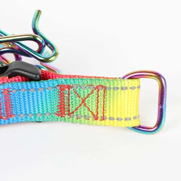 Stainless Steel Colorful Comfort Rubber Tips Adjustable Stainless Steel Dog Training Prong Pinch Collars