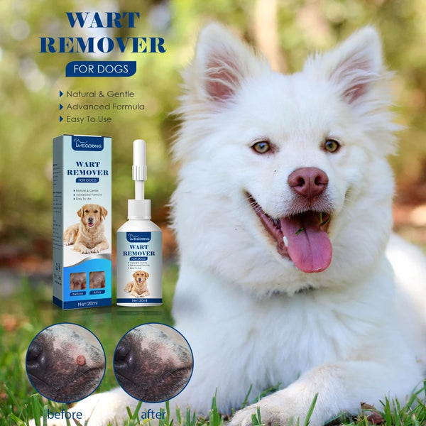 Pet Flea Killer Drops Anti Fleas Cats Ticks Lice Mite Removal Relieve Itching Dogs Ringworm Treatment Pet Insect Removal Drops